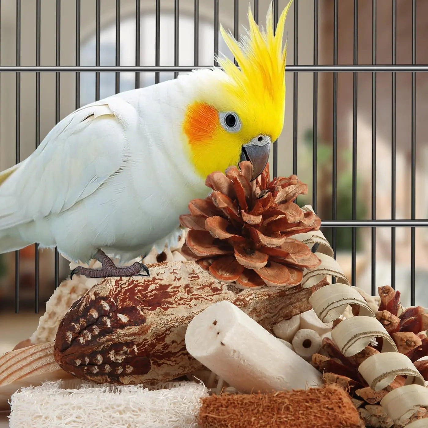 Bird Toys Parrot Toys Natural Bird Foraging Box Foot for Parakeets, Cockatiels, Conures, Love Birds, and Other Small to Medium Birds