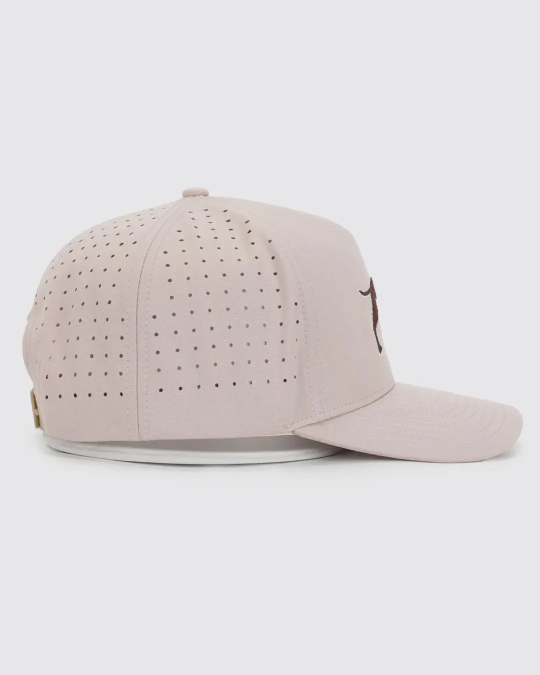 Bird Dog Baseball Cap