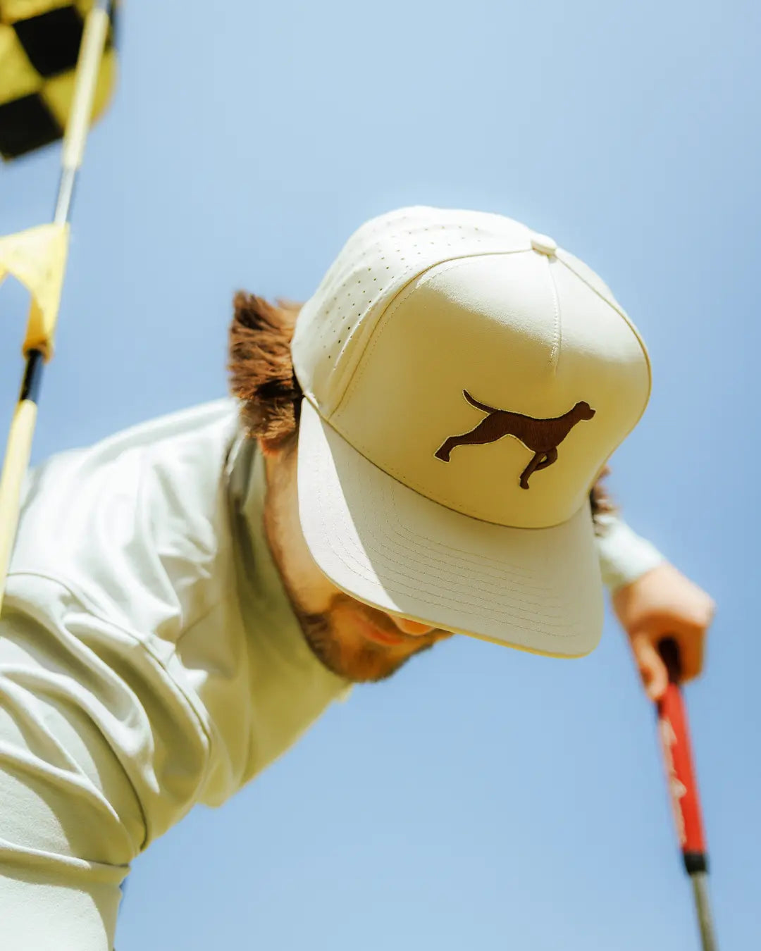 Bird Dog Baseball Cap