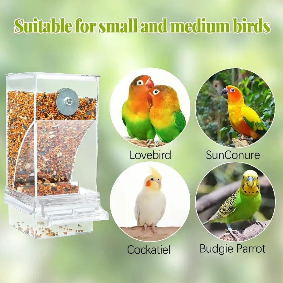 【Summbervibes】Bird Feeder Parrot No Mess No Drill Automatic Cage Feeder Dispenser Clear Seed Container for Small Medium Birds Parakeet Cockatiel Canary Lovebird Conure Cockatoo Transparent Material Easy Installation High Cost-Effective for Bird Lovers