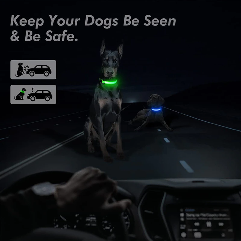 Illuminate Your Pet's Safety with the LED Adjustable Dog Collar - Blinking, Flashing, and Waterproof!