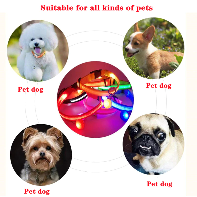 Illuminate Your Pet's Safety with the LED Adjustable Dog Collar - Blinking, Flashing, and Waterproof!