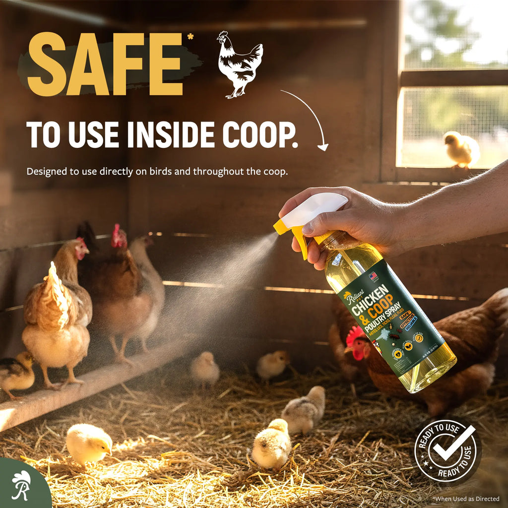 Reliant Pet Chicken & Coop Poultry Spray for Mites, Lice, Ticks, Fleas, and Flies - Safe for Chickens with No Egg Removal Required - Special Mother's Day and Father's Day Promotion
