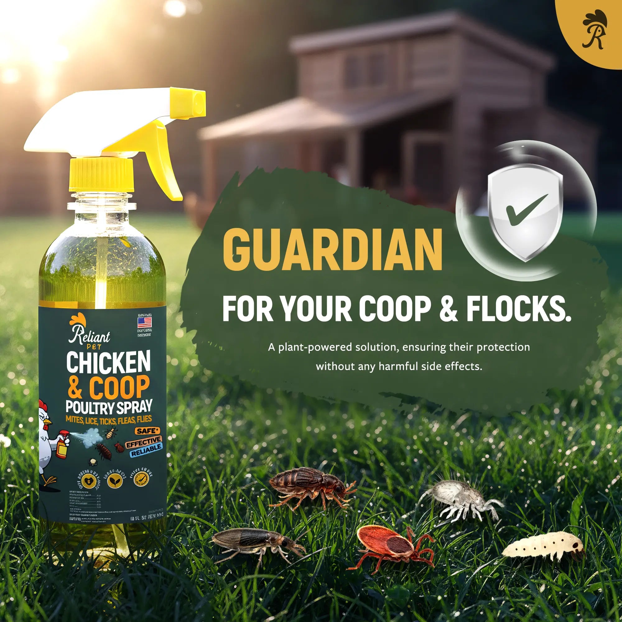 Reliant Pet Chicken & Coop Poultry Spray for Mites, Lice, Ticks, Fleas, and Flies - Safe for Chickens with No Egg Removal Required - Special Mother's Day and Father's Day Promotion