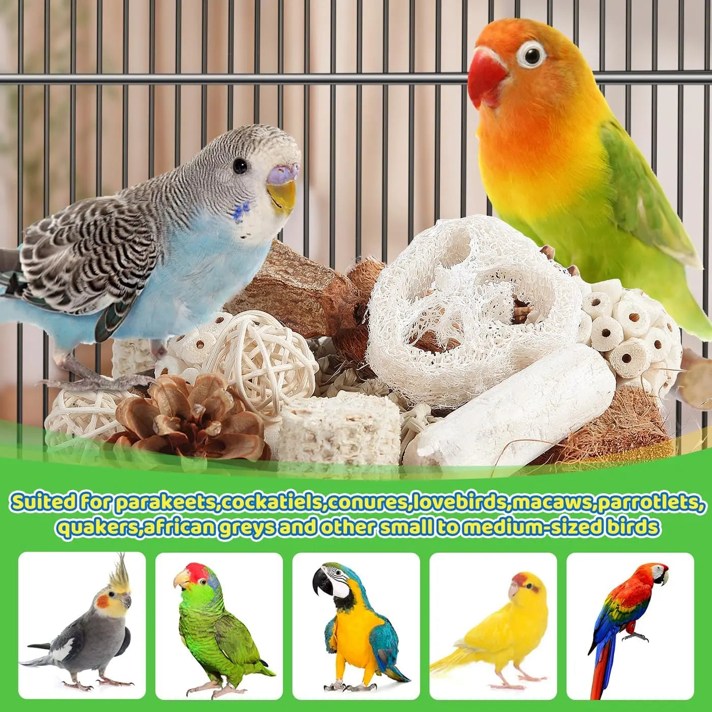 Bird Toys Parrot Toys Natural Bird Foraging Box Foot for Parakeets, Cockatiels, Conures, Love Birds, and Other Small to Medium Birds