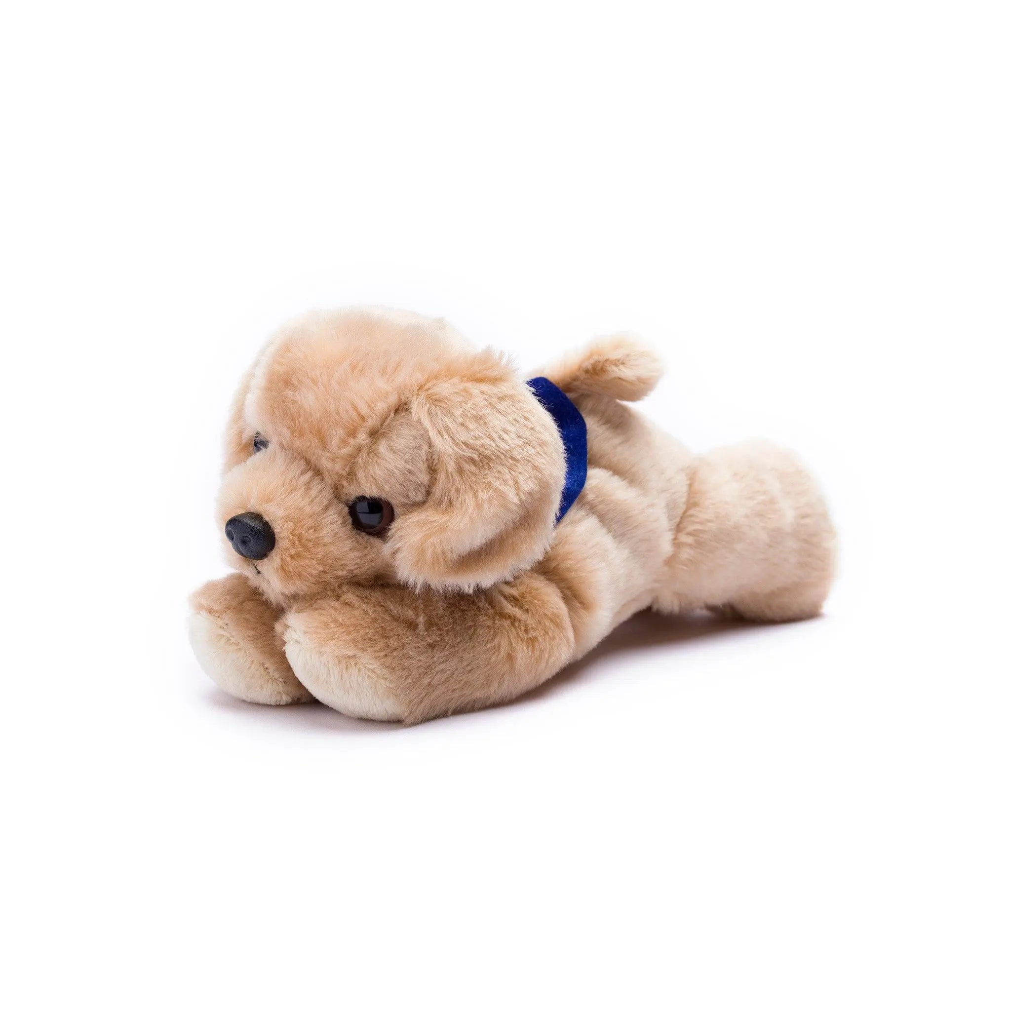 Golden Labrador with Mane 'N Tail Blue Bandana