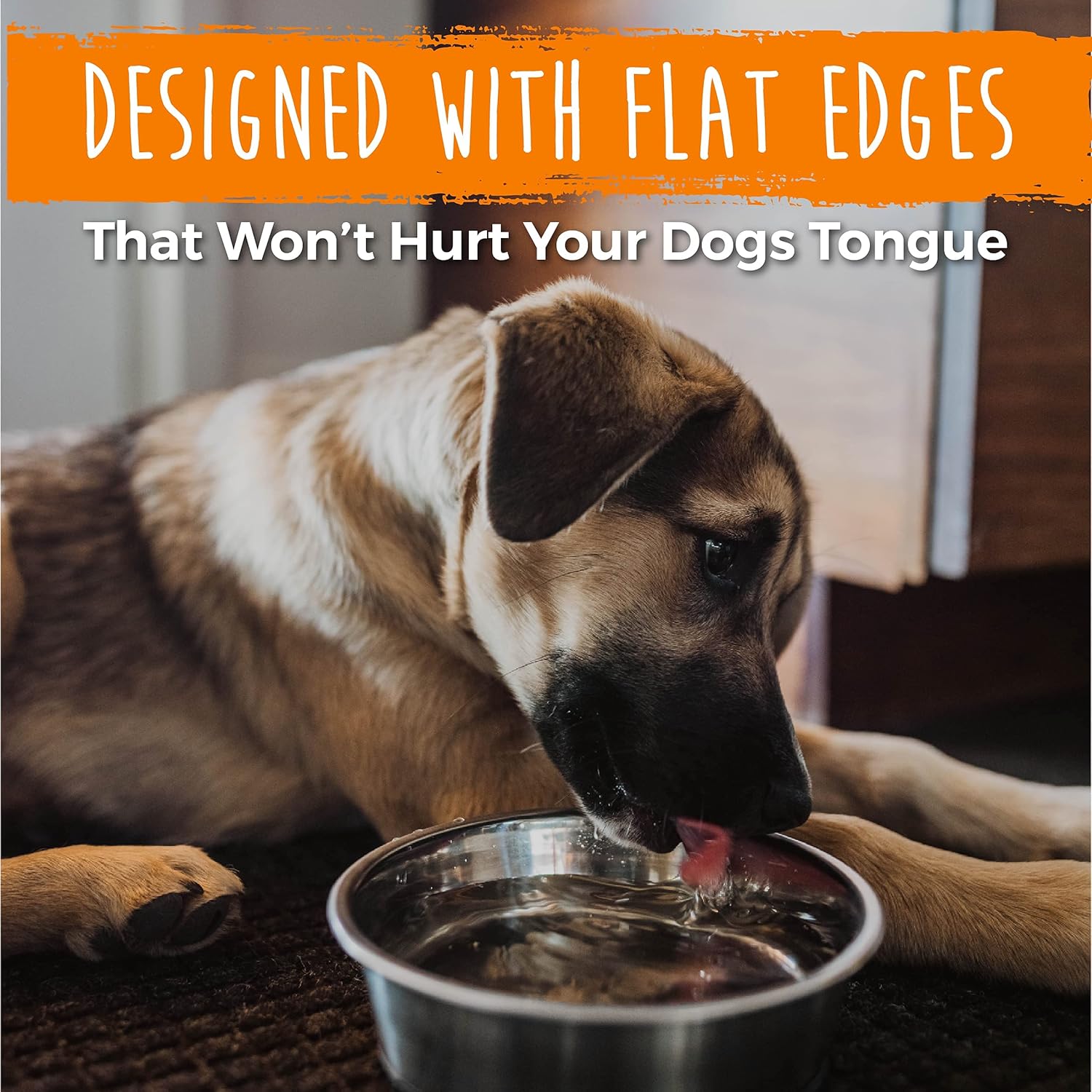 Premium Non-Slip Stainless Steel Dog Bowls Set - Dishwasher Safe & No Spill Design for All Breeds - Perfect for Food and Water - 5.5" Small Size