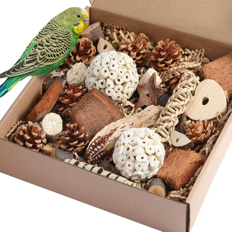 Bird Toys Parrot Toys Natural Bird Foraging Box Foot for Parakeets, Cockatiels, Conures, Love Birds, and Other Small to Medium Birds