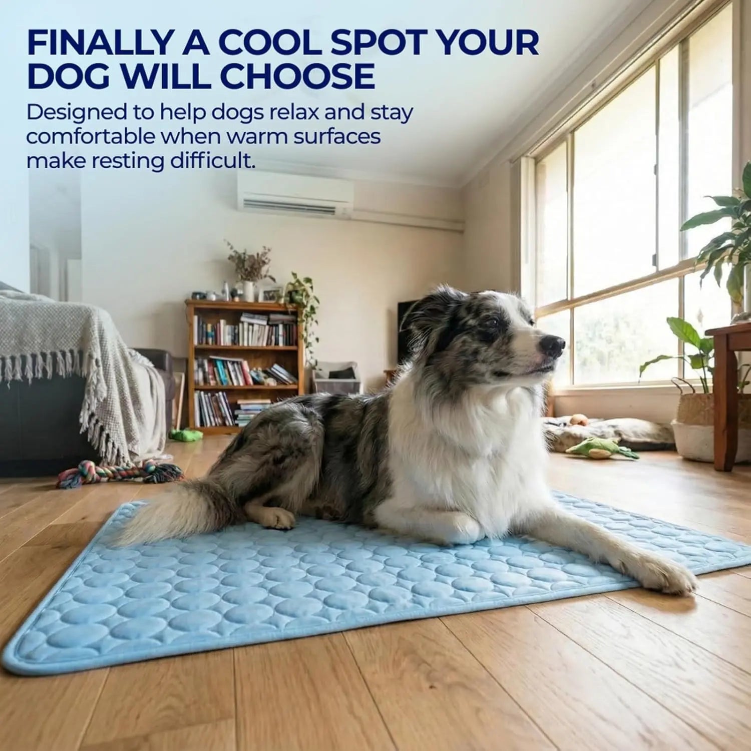 Ultimate Dog Cooling Mat - Refreshing Ice Silk Pad for Small & Medium Dogs, Waterproof & Non-Slip, Perfect for Summer Indoor & Outdoor Use!