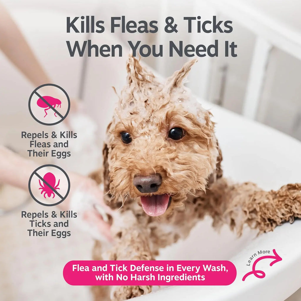 Transform Bath Time into Bliss with Zesty Paws Natural Flea and Tick Removal Shampoo for Dogs - 16 Fl Oz of Soothing Cedarwood and Peppermint Formula for Healthy Skin and Coat
