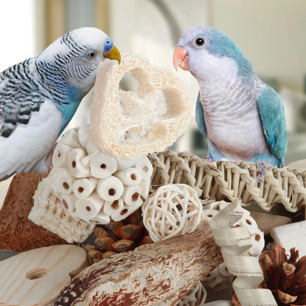 Bird Toys Parrot Toys Natural Bird Foraging Box Foot for Parakeets, Cockatiels, Conures, Love Birds, and Other Small to Medium Birds