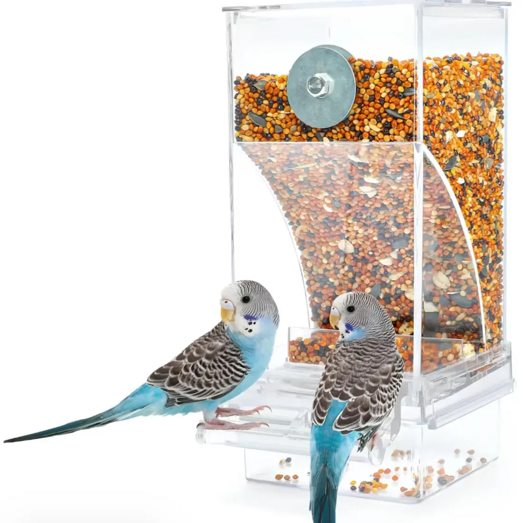 【Summbervibes】Bird Feeder Parrot No Mess No Drill Automatic Cage Feeder Dispenser Clear Seed Container for Small Medium Birds Parakeet Cockatiel Canary Lovebird Conure Cockatoo Transparent Material Easy Installation High Cost-Effective for Bird Lovers