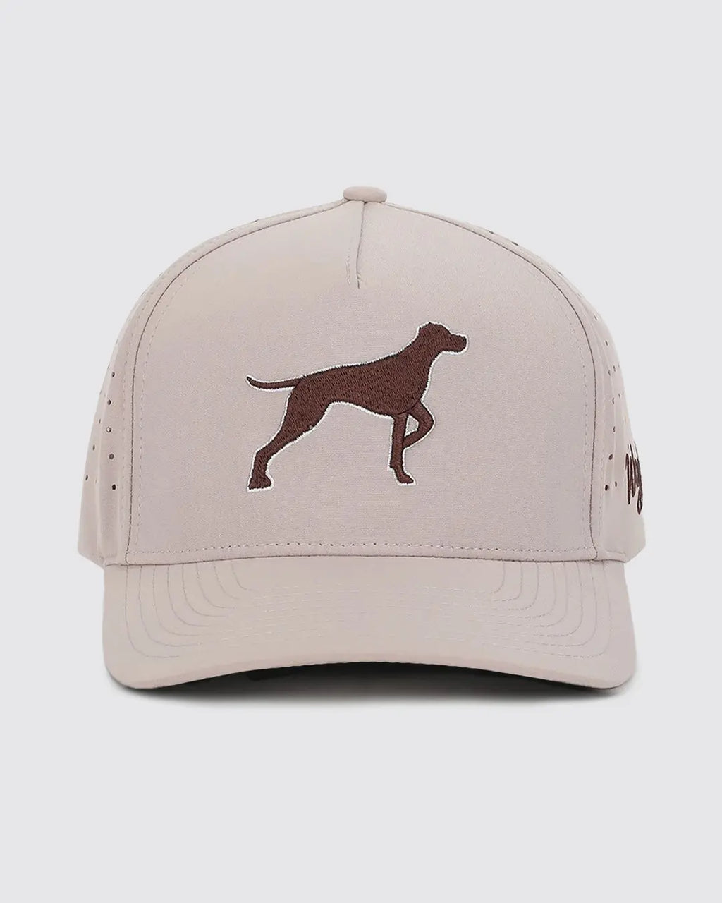 Bird Dog Baseball Cap