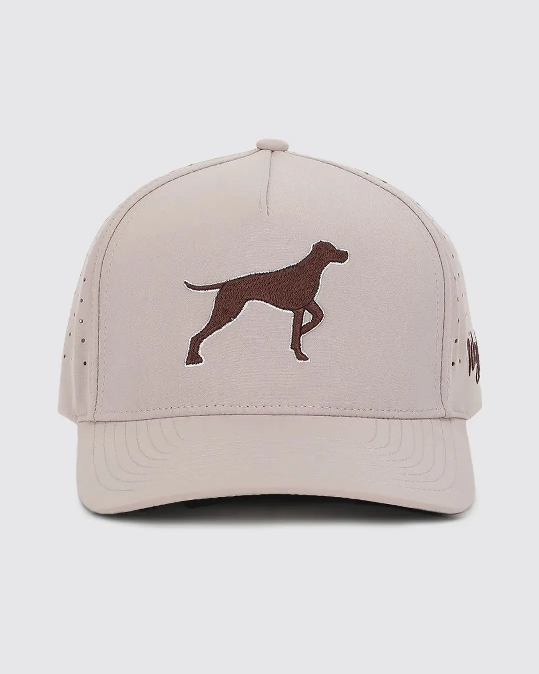 Bird Dog Baseball Cap