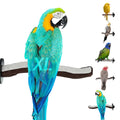 Superoost Manzanita Pumice Pedicure Perch - Easy Install Bird Cage Accessories for Healthy Feet, Small Birds, Nails & Beak - Natural XL Bird Perch 14"