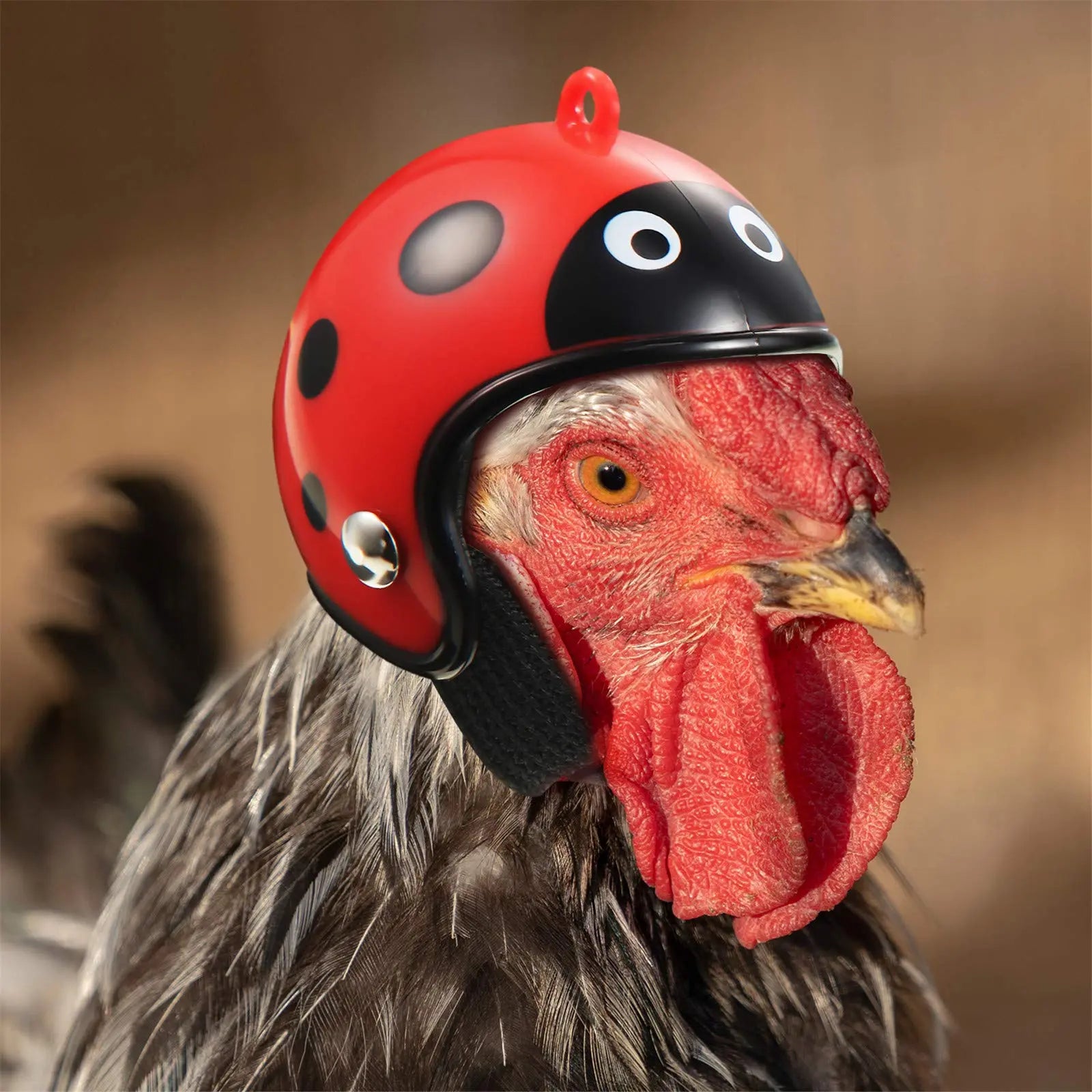 8-Piece Rainproof Chicken Hats - Stylish and Functional Protective Gear for Chickens and Parrots