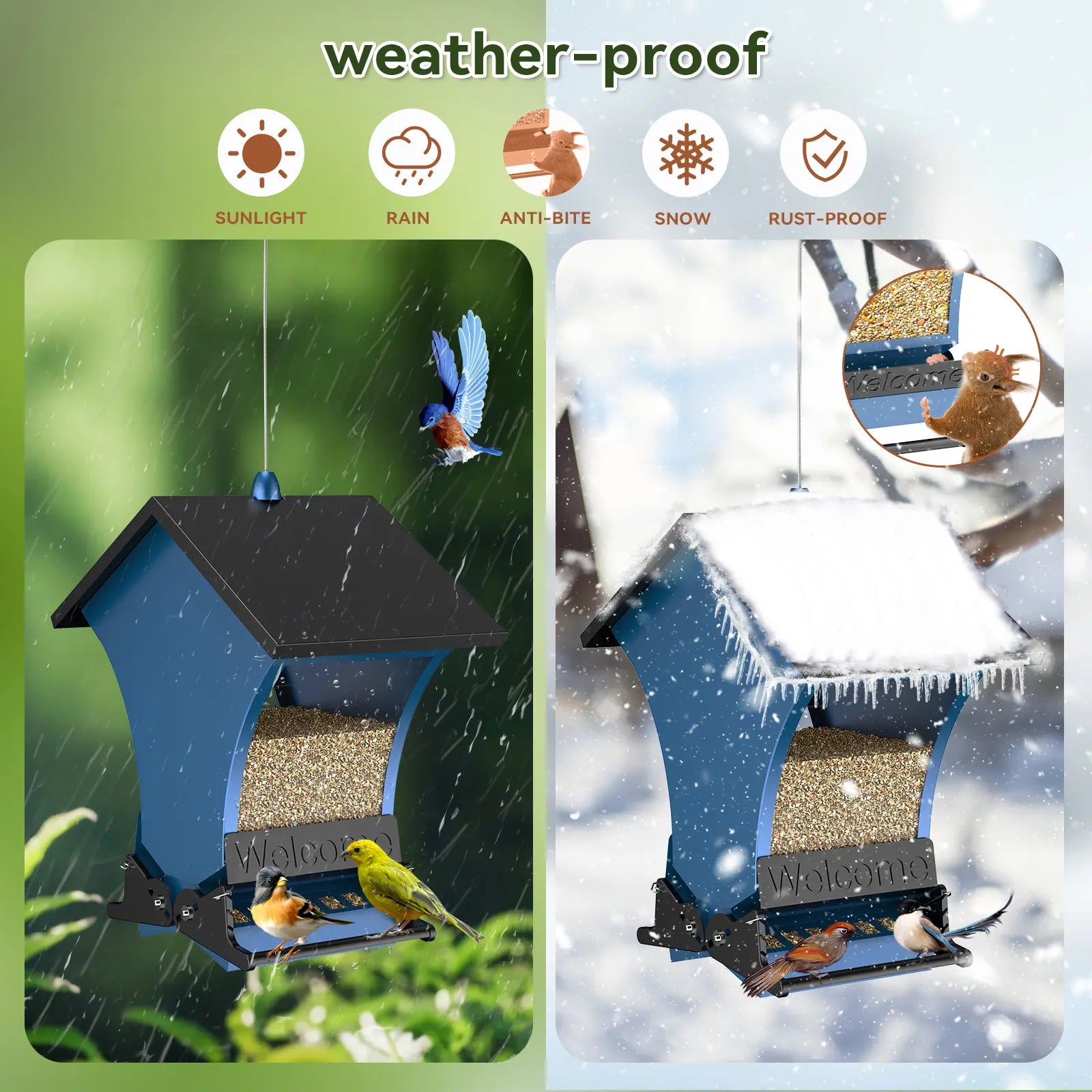 Wildpark Squirrel Proof Bird Feeder – Durable, Vibrant Orange, Perfect for Cardinals & Chickadees – Ideal Gift for Bird Lovers, Moms & Grandmas