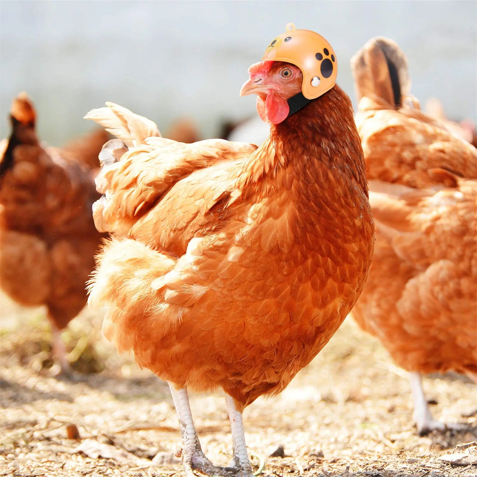 8-Piece Rainproof Chicken Hats - Stylish and Functional Protective Gear for Chickens and Parrots