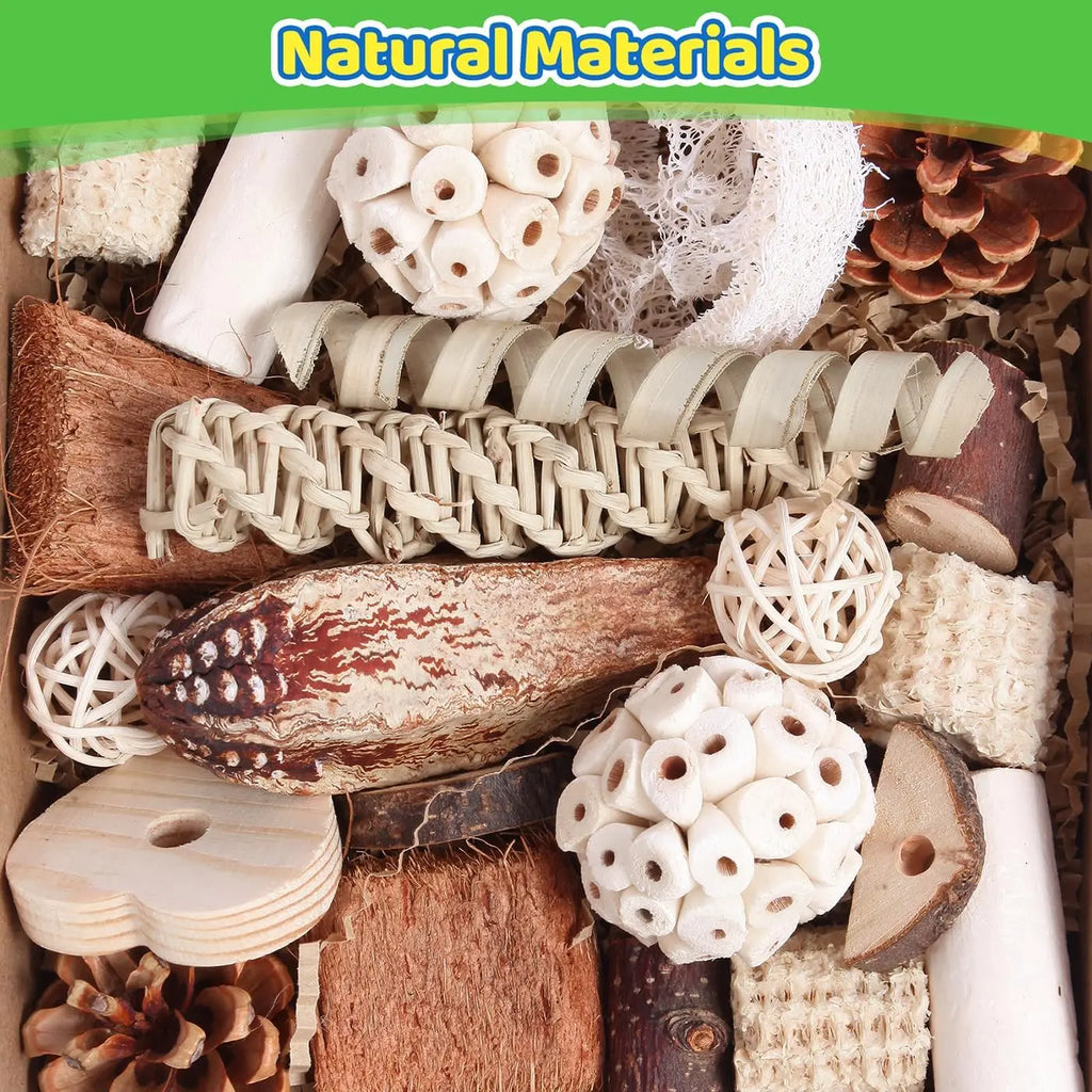 Bird Toys Parrot Toys Natural Bird Foraging Box Foot for Parakeets, Cockatiels, Conures, Love Birds, and Other Small to Medium Birds