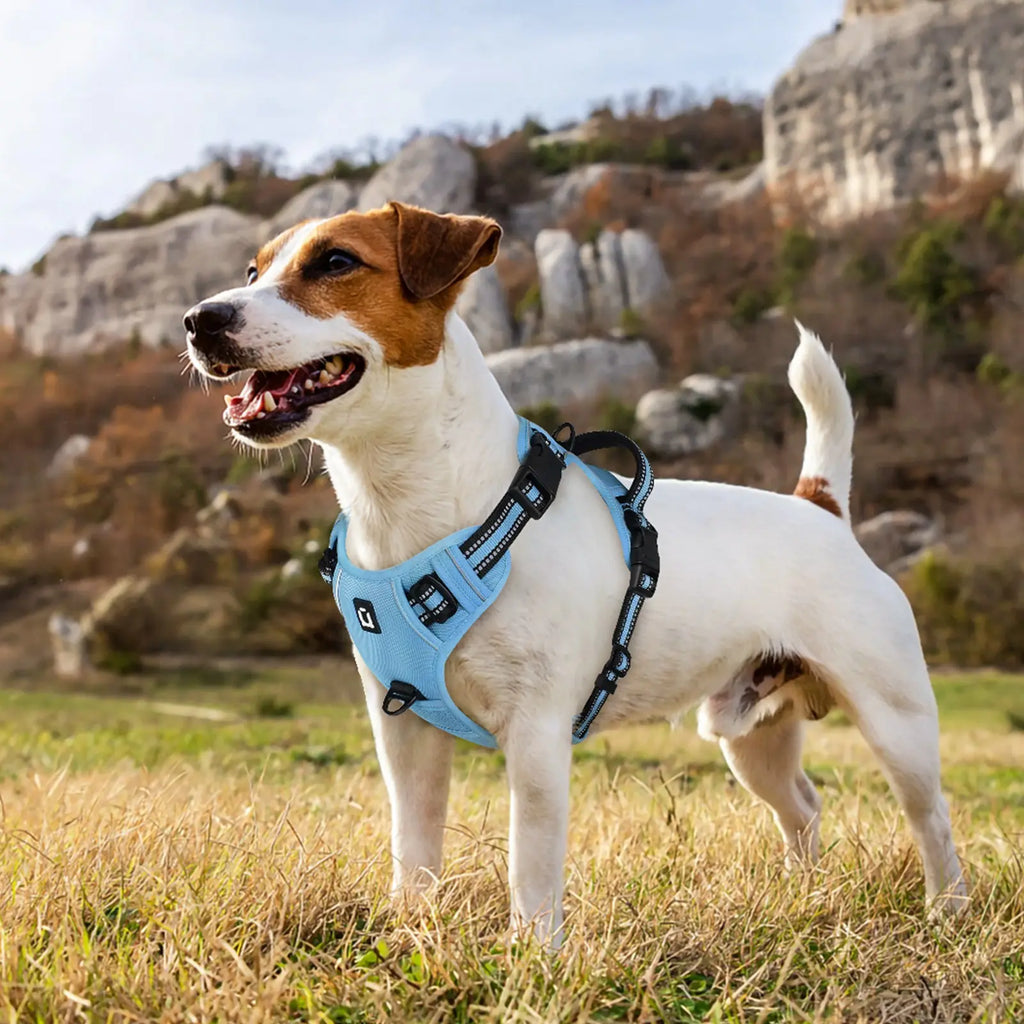 Durable Reflective Dog Harness with No-Pull Design, Adjustable Soft-Padded Vest, Dual Leash Clips, and Easy-Control Handle for Large Dogs