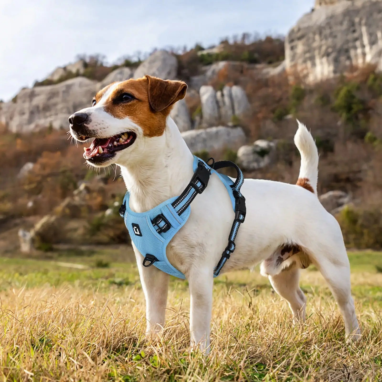 Durable Reflective Dog Harness with No-Pull Design, Adjustable Soft-Padded Vest, Dual Leash Clips, and Easy-Control Handle for Large Dogs