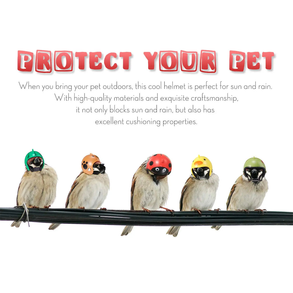 8-Piece Rainproof Chicken Hats - Stylish and Functional Protective Gear for Chickens and Parrots