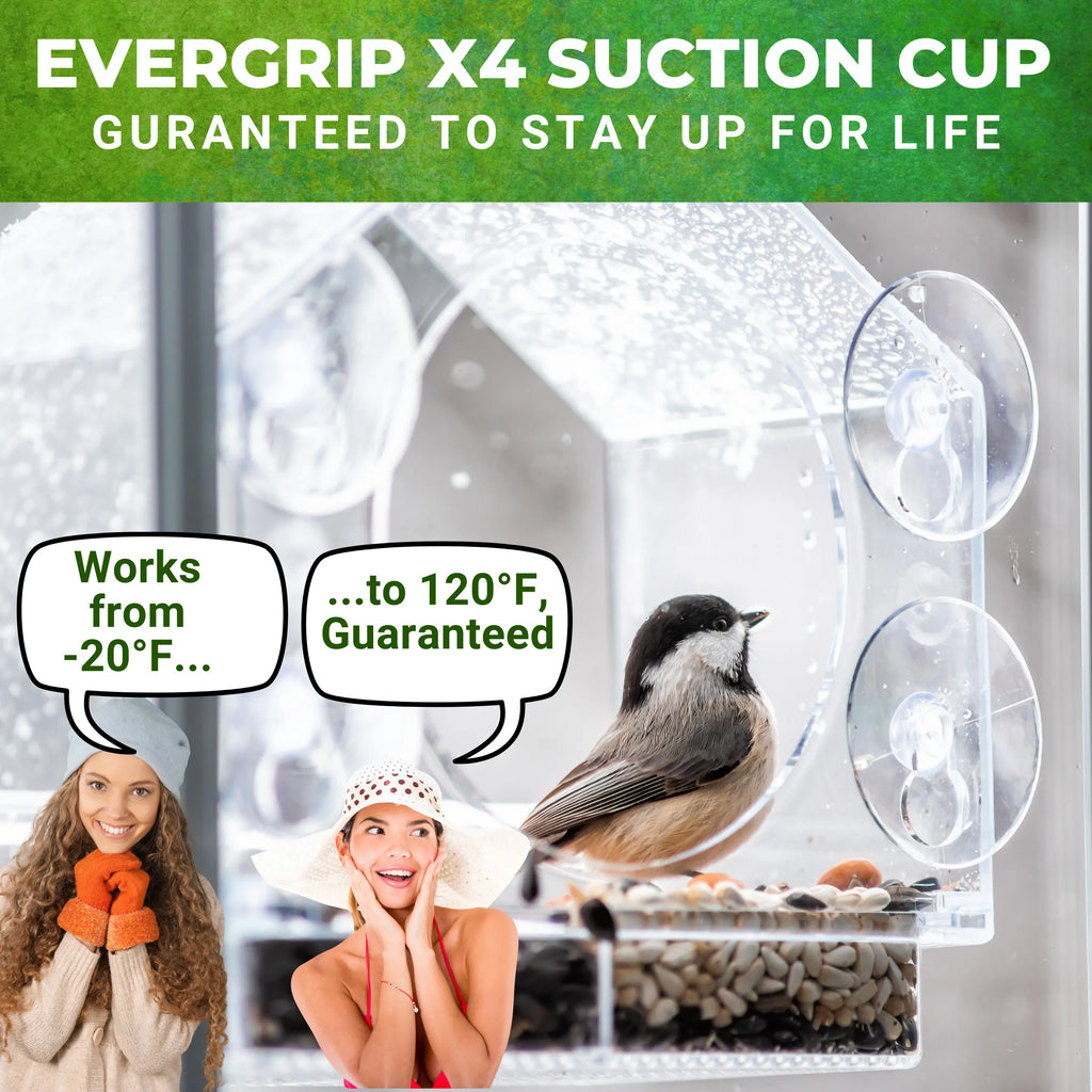 Window Bird Feeder Clear Acrylic with 4 Strong Suction Cups, Removable Sliding Tray, Easy to Clean, Weatherproof Outdoor Bird Feeder for Close up Bird Watching, Great Gift for Bird Lovers, Moms, Seniors and Nature Fans | Nature Anywhere