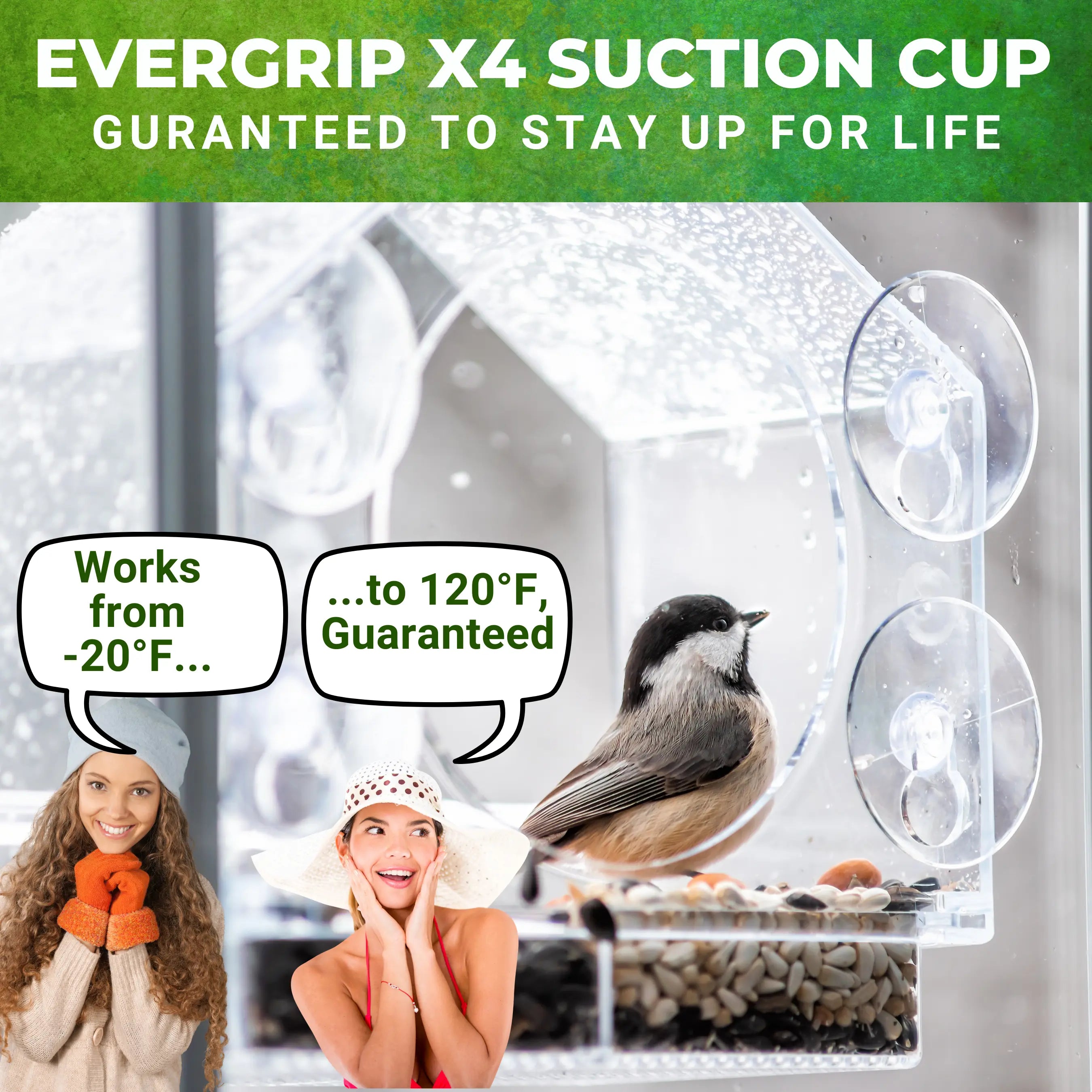 Window Bird Feeder Clear Acrylic with 4 Strong Suction Cups, Removable Sliding Tray, Easy to Clean, Weatherproof Outdoor Bird Feeder for Close up Bird Watching, Great Gift for Bird Lovers, Moms, Seniors and Nature Fans | Nature Anywhere