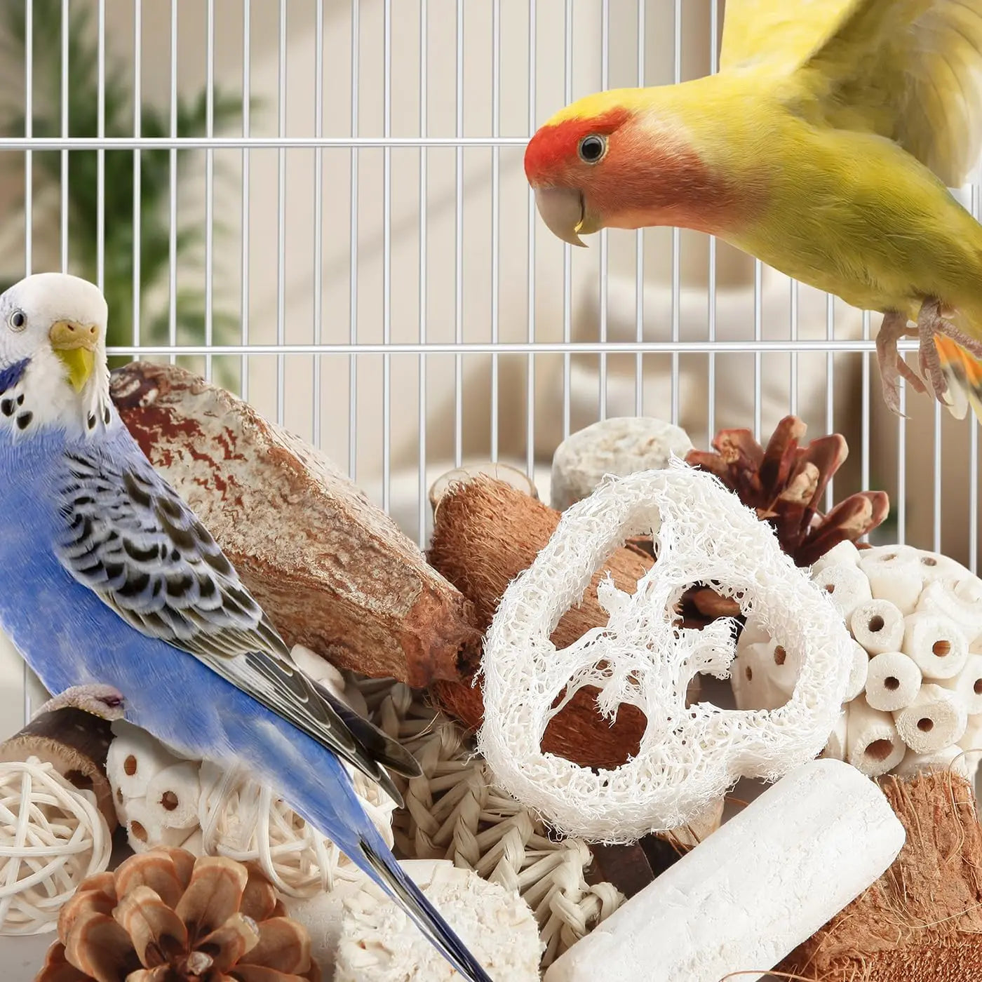 Bird Toys Parrot Toys Natural Bird Foraging Box Foot for Parakeets, Cockatiels, Conures, Love Birds, and Other Small to Medium Birds