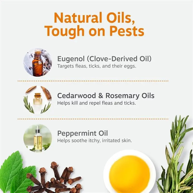 Transform Bath Time into Bliss with Zesty Paws Natural Flea and Tick Removal Shampoo for Dogs - 16 Fl Oz of Soothing Cedarwood and Peppermint Formula for Healthy Skin and Coat