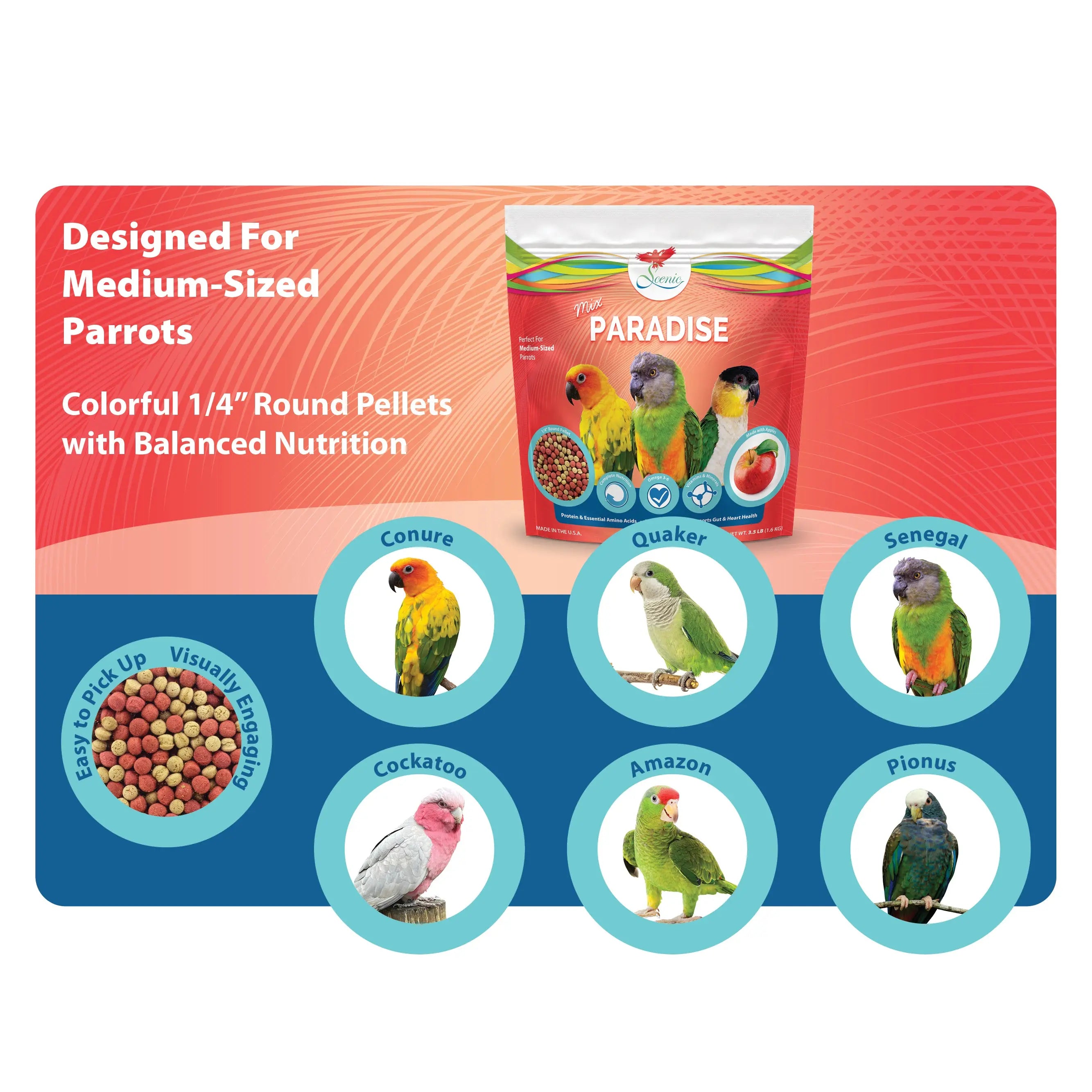 Scenic Mix Paradise Medium Parrot Food - 3.5 Lb Bag - 1/4" Bird Pellets - Complete Nutrition for Sun Conures, Pionus, Senegals, Caiques & More