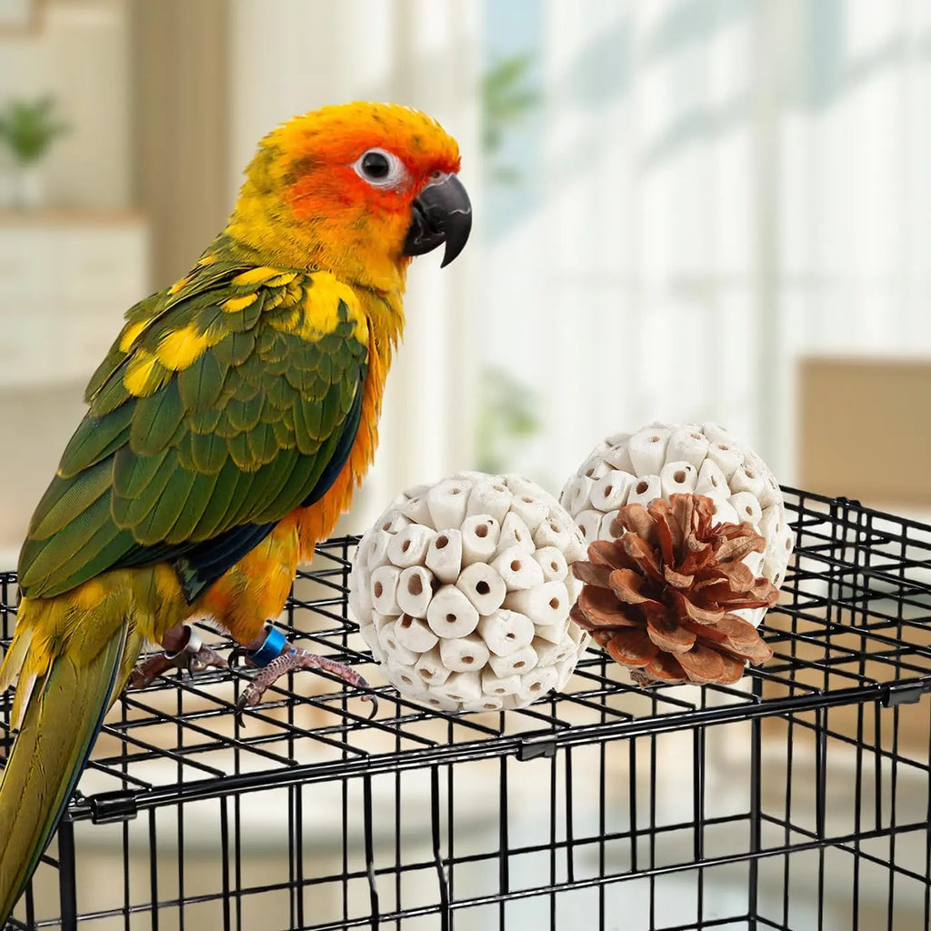Bird Toys Parrot Toys Natural Bird Foraging Box Foot for Parakeets, Cockatiels, Conures, Love Birds, and Other Small to Medium Birds