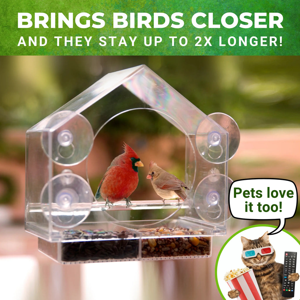 Window Bird Feeder Clear Acrylic with 4 Strong Suction Cups, Removable Sliding Tray, Easy to Clean, Weatherproof Outdoor Bird Feeder for Close up Bird Watching, Great Gift for Bird Lovers, Moms, Seniors and Nature Fans | Nature Anywhere